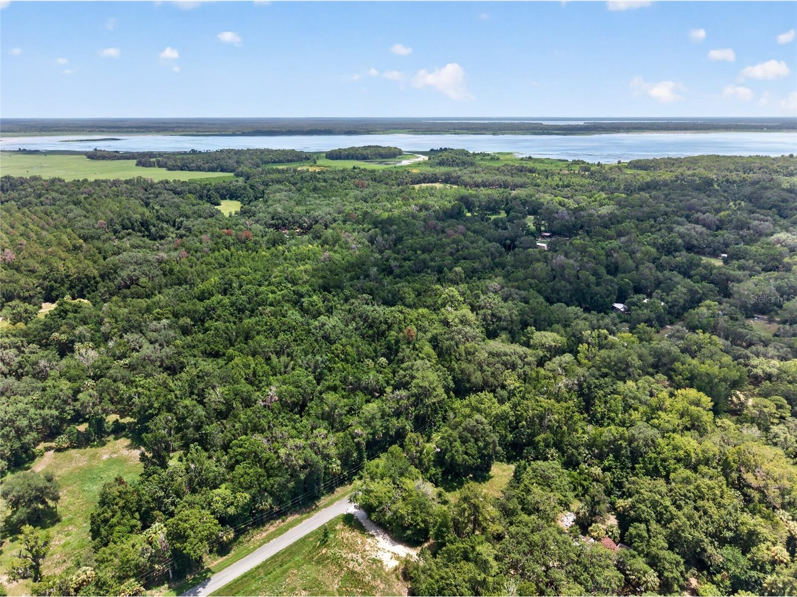 5725 NW 219th Street Road Micanopy FL 32667 GC541790 image5