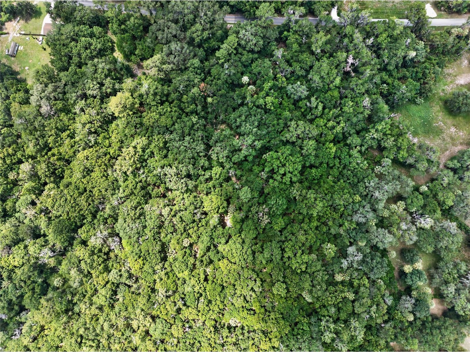 5725 NW 219th Street Road Micanopy FL 32667 GC541790 image6