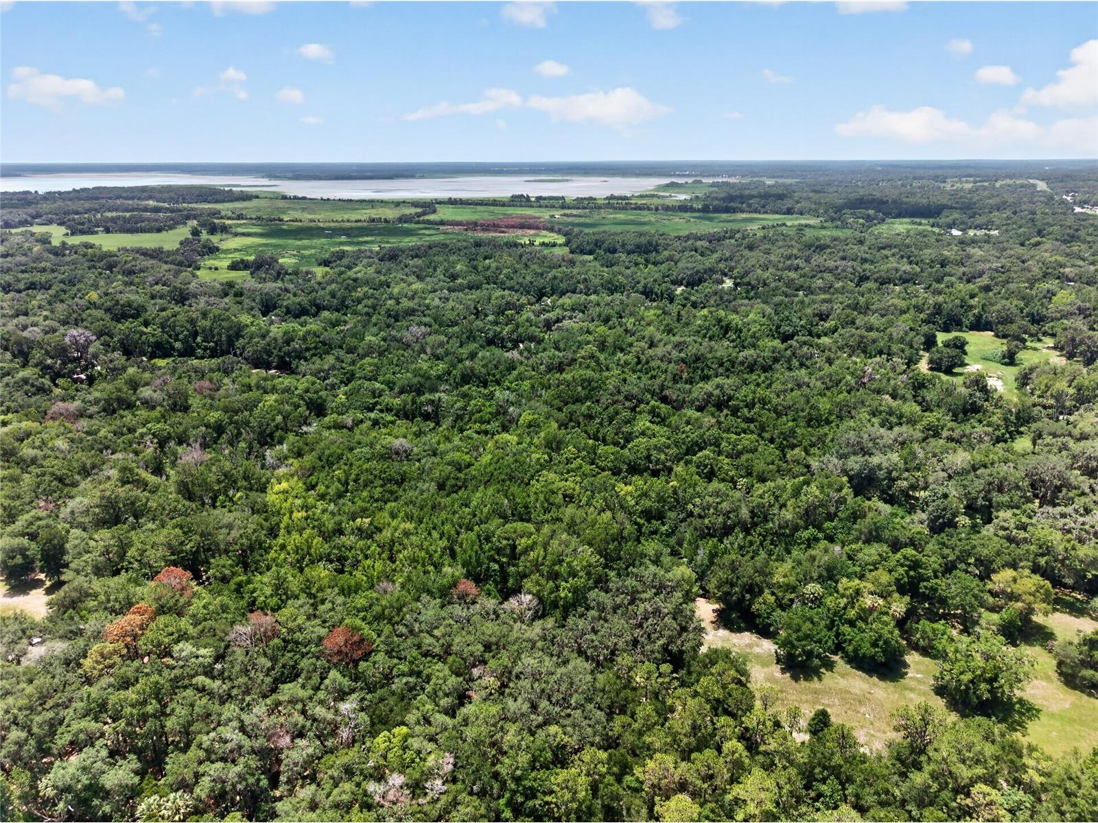 5725 NW 219th Street Road Micanopy FL 32667 GC541790 image8