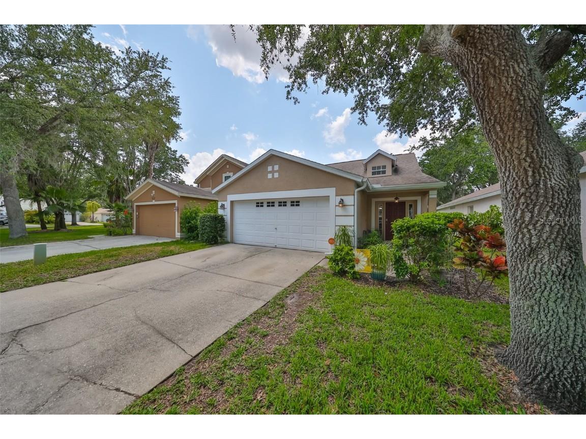 5725 Tanagerlake Road Lithia FL 33547 T3525933 image1
