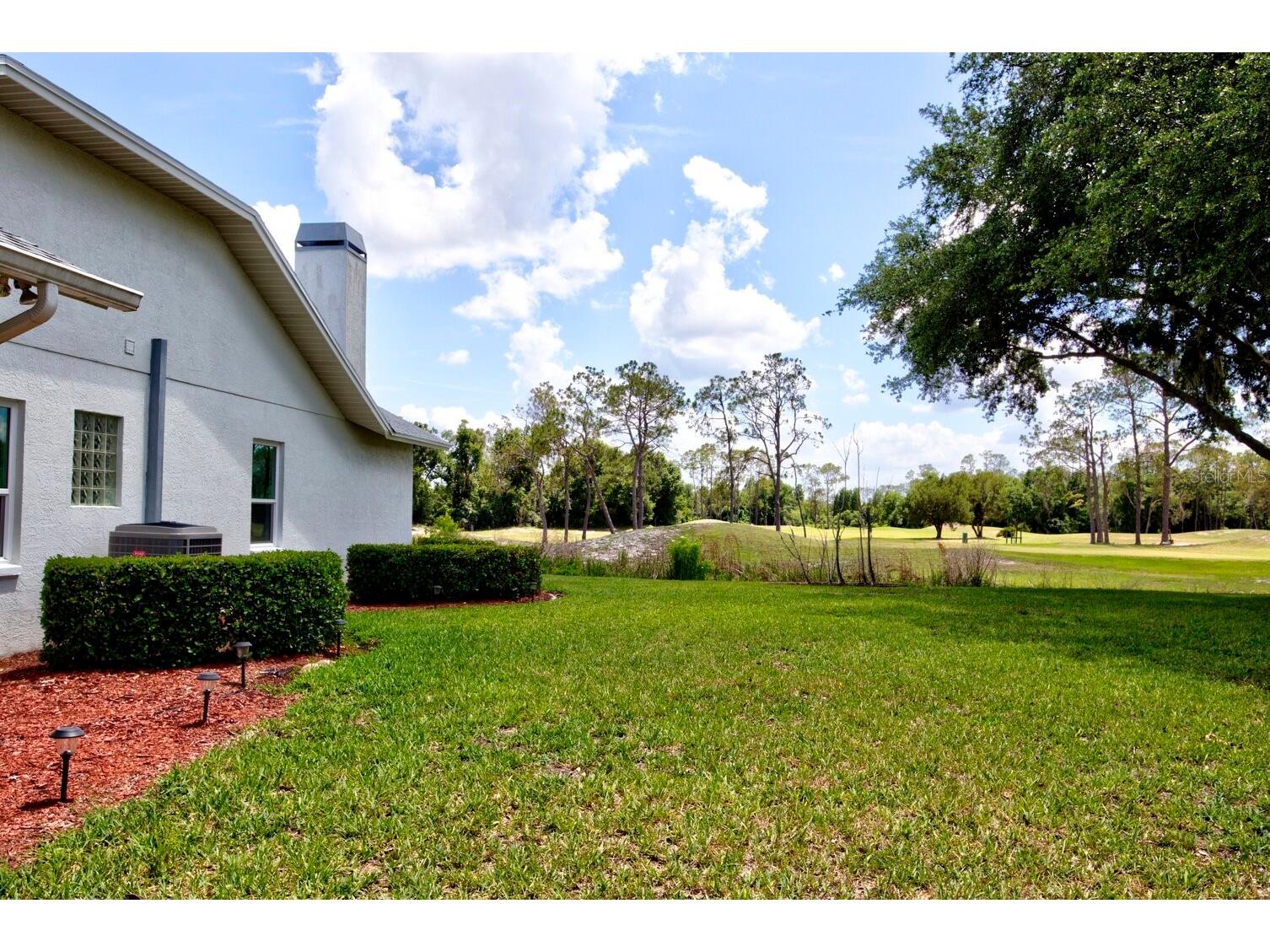 5725 Wedgefield Drive Zephyrhills FL 33541 TB8504828 image33