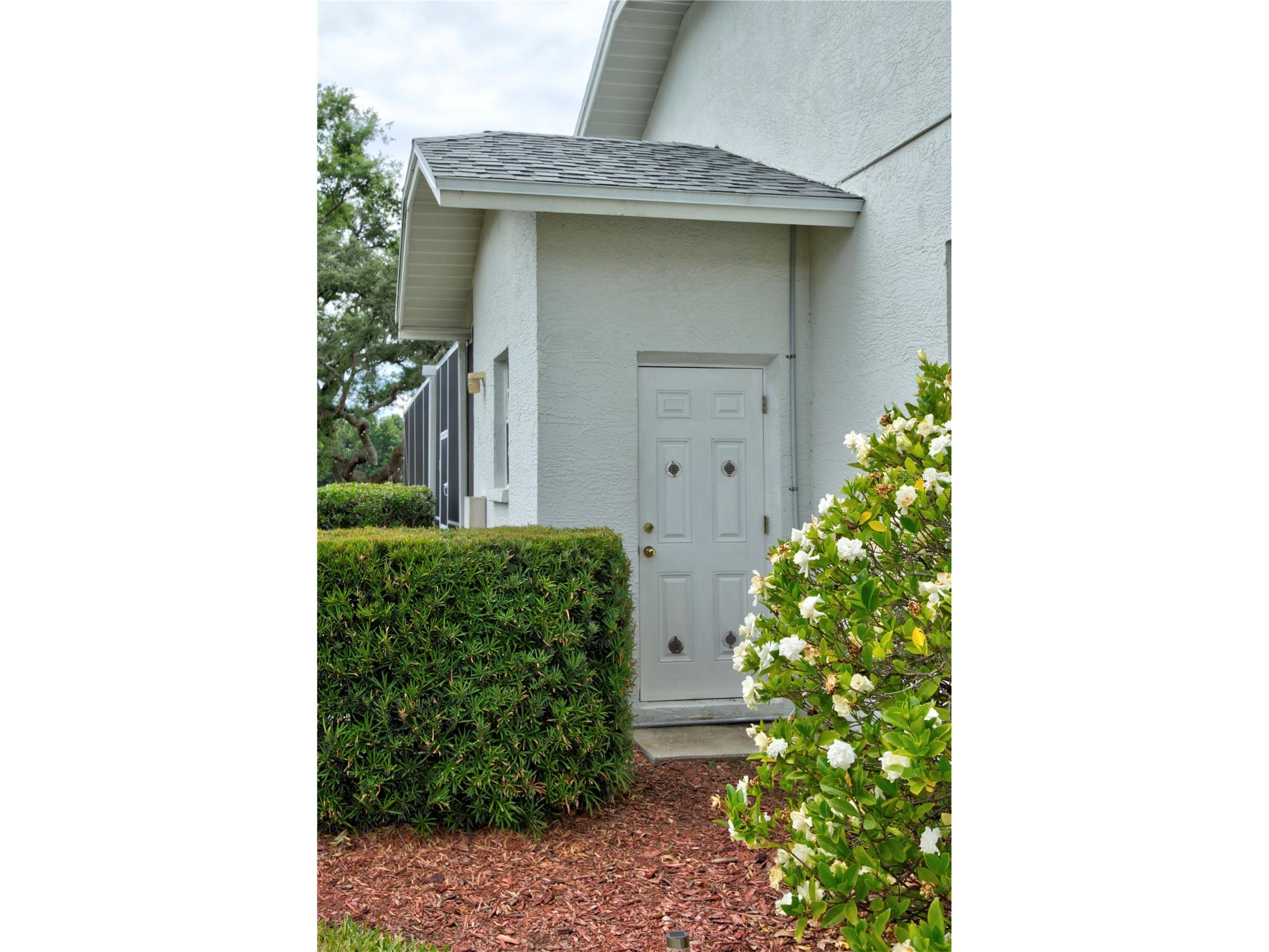 5725 Wedgefield Drive Zephyrhills FL 33541 TB8504828 image35