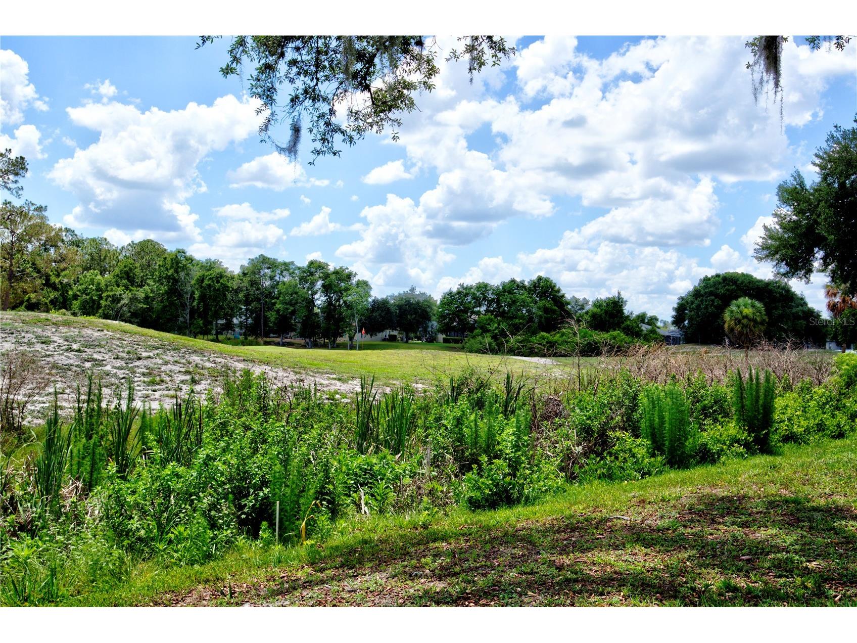 5725 Wedgefield Drive Zephyrhills FL 33541 TB8504828 image36