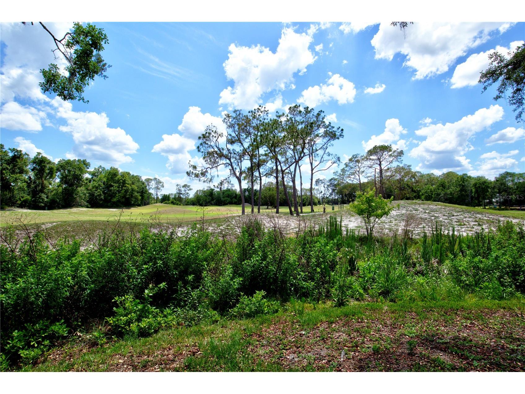 5725 Wedgefield Drive Zephyrhills FL 33541 TB8504828 image37