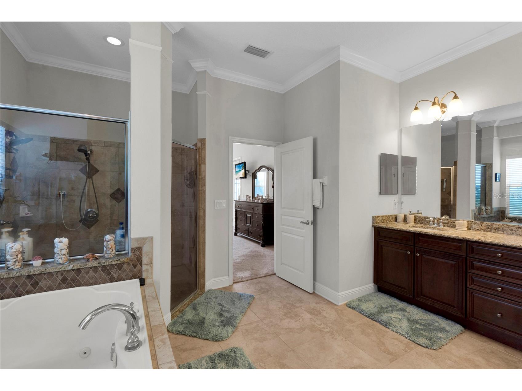 5727 Sea Trout Place Apollo Beach FL 33572 A4693354 image20