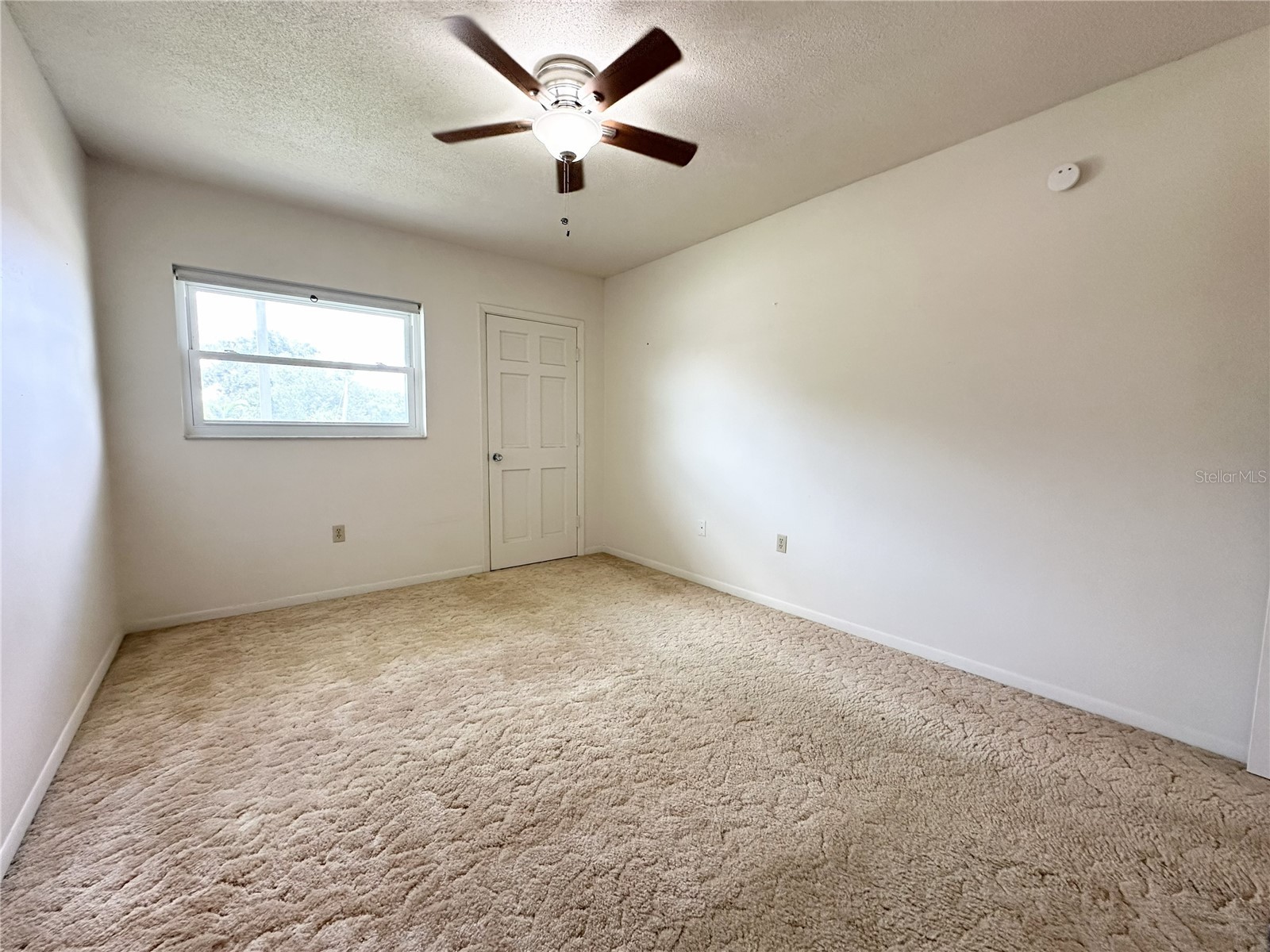 5728 14th Avenue N #206B Saint Petersburg FL 33710 TB8507613 image18
