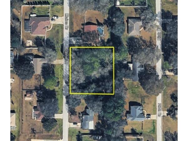 5728 Elaine Drive Zephyrhills FL 33541 OM719591 image1