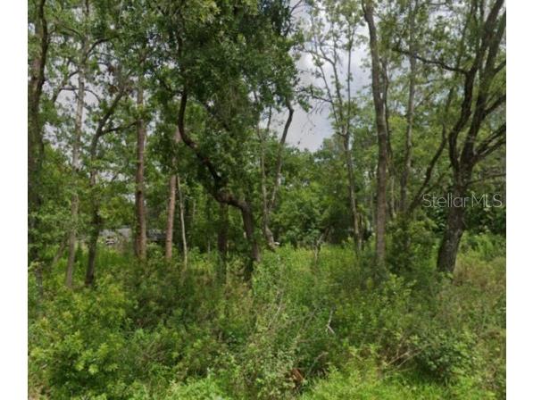 5728 Elaine Drive Zephyrhills FL 33541 OM719591 image2
