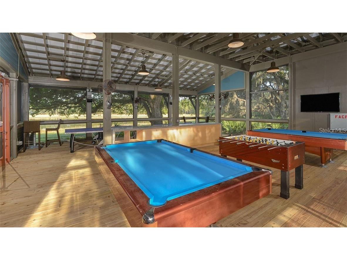 5728 Skytop Drive Lithia FL 33547 TB8465019 image39