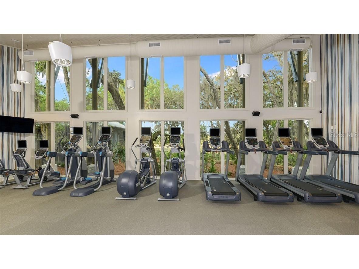 5728 Skytop Drive Lithia FL 33547 TB8465019 image41