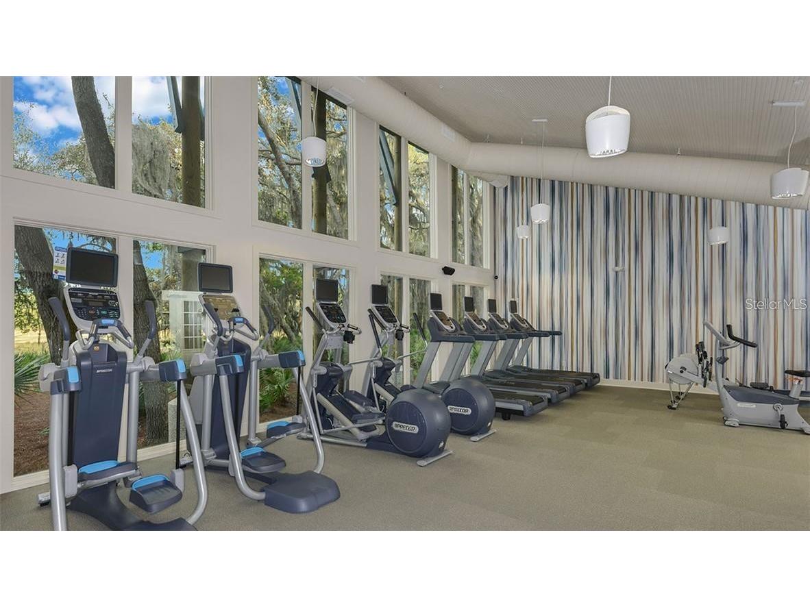 5728 Skytop Drive Lithia FL 33547 TB8465019 image42