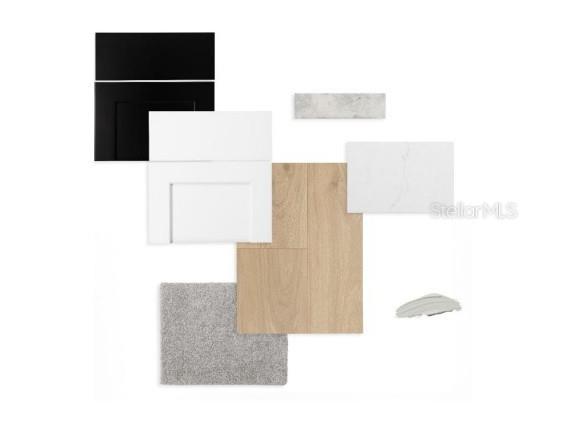 5729 Leaflet Trail Mount Dora FL 32757 TB8448020 image3