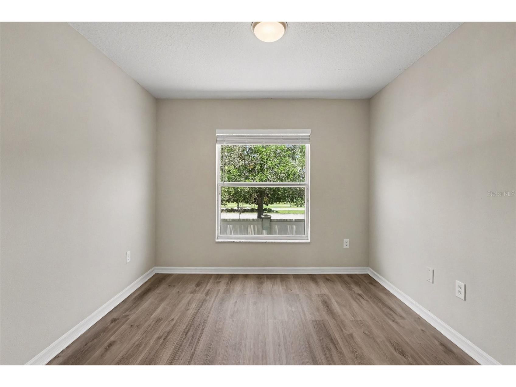 5729 Sweet William Terrace Land O Lakes FL 34639 TB8530283 image24