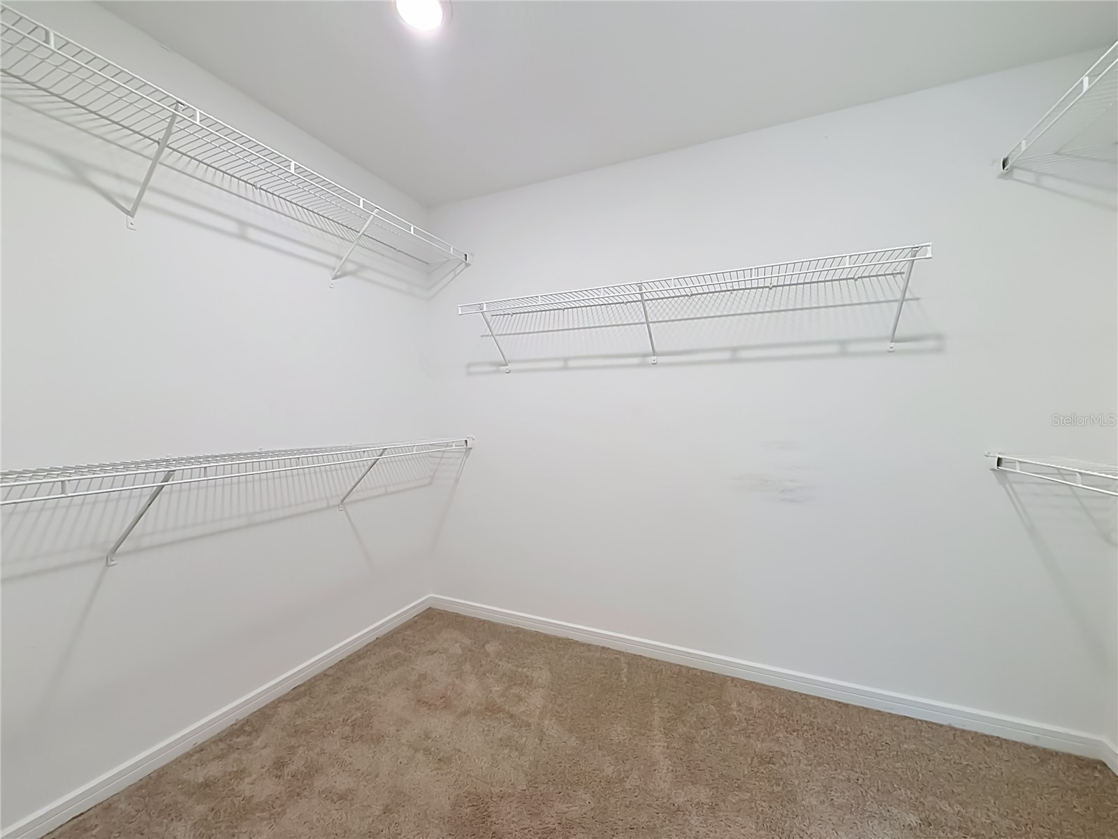 5729 Wooden Pine Drive Orlando FL 32829 O6427530 image34