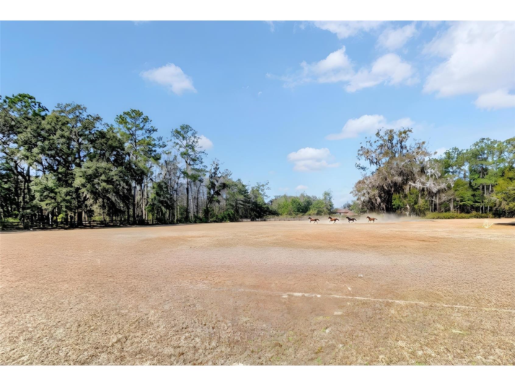 573 SE Nature Drive Lake City FL 32025 GC537879 image51