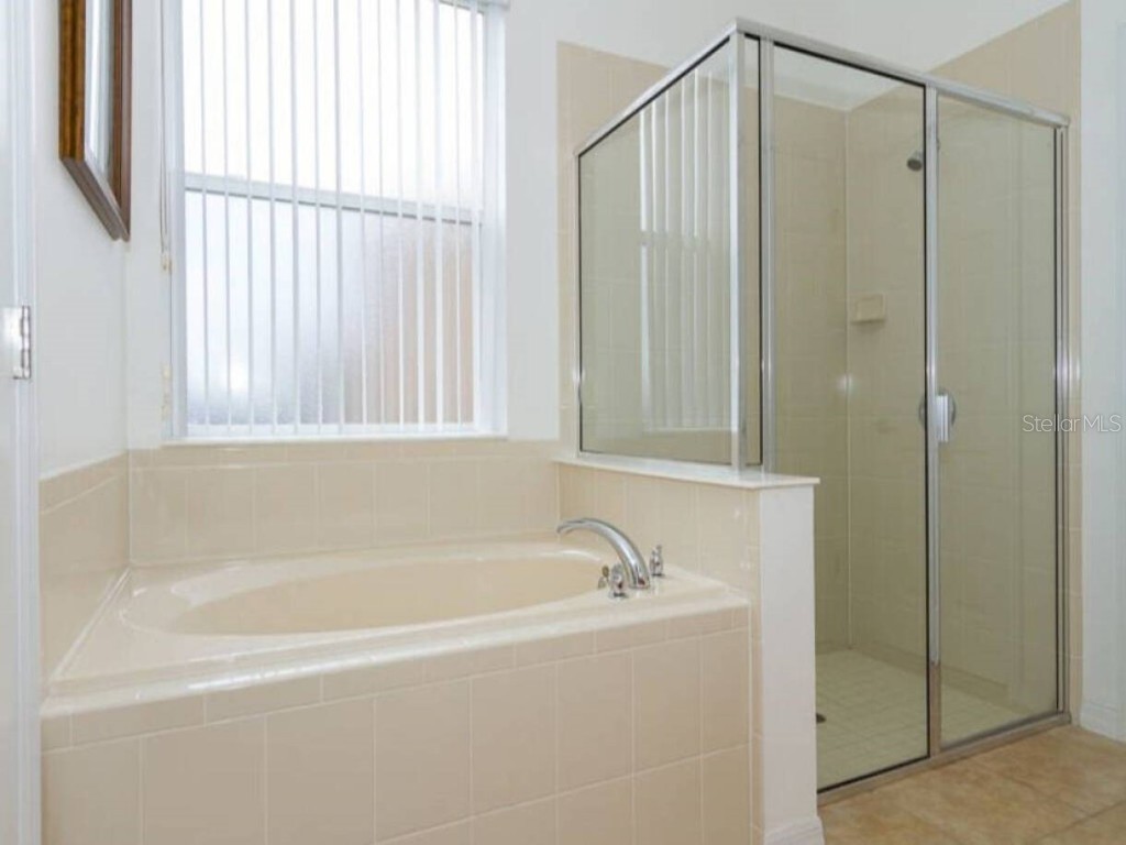 573 Viola Drive Davenport FL 33837 S5105877 image25