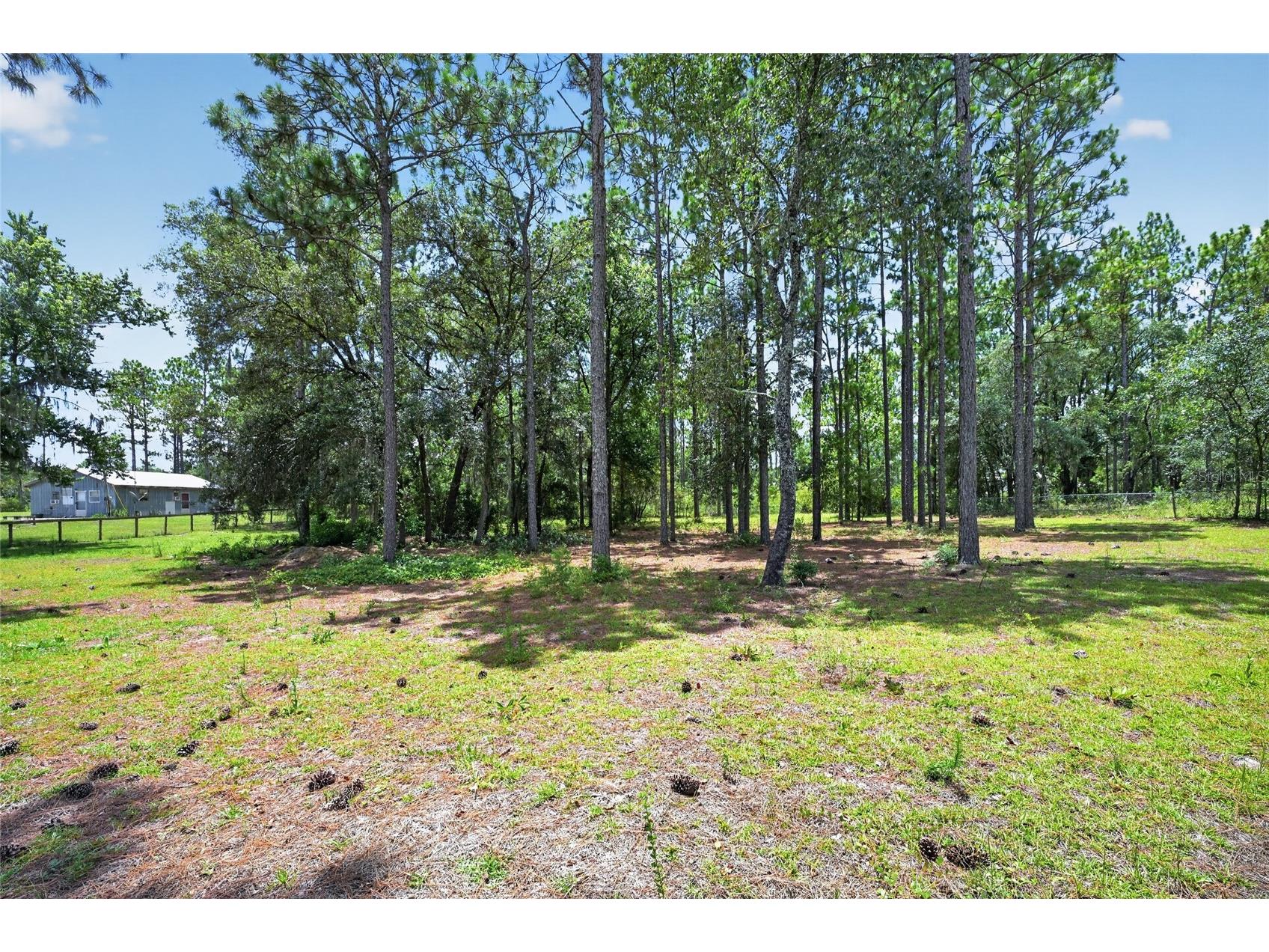 5730 SE 120th Avenue Morriston FL 32668 W7887753 image50