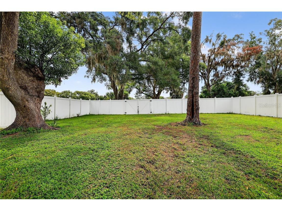 5731 17th Street Zephyrhills FL 33542 TB8413194 image30