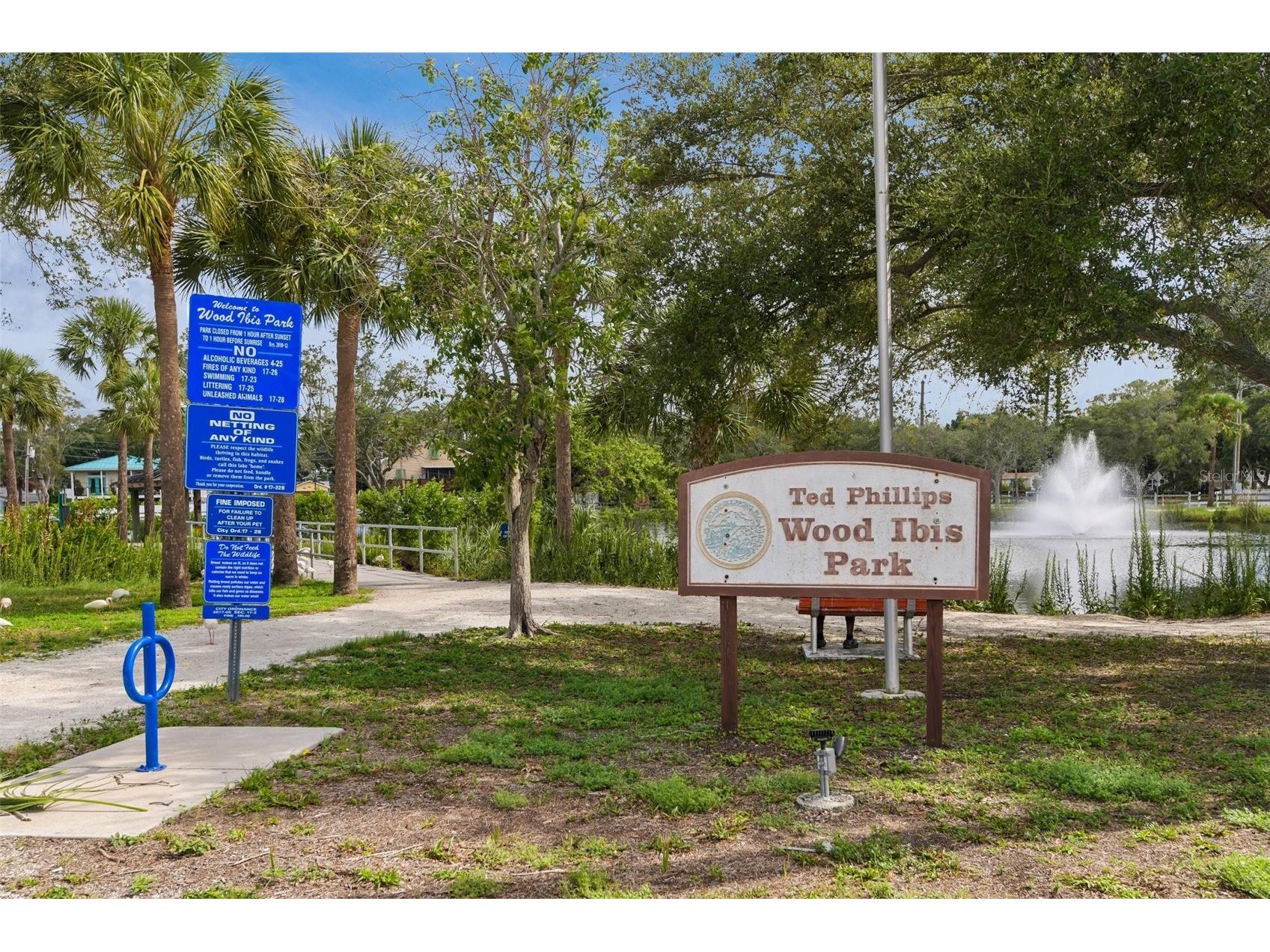 5731 28th Avenue S Gulfport FL 33707 - TED PHILLIPS IBIS WOOD PARK TB8531210 image30