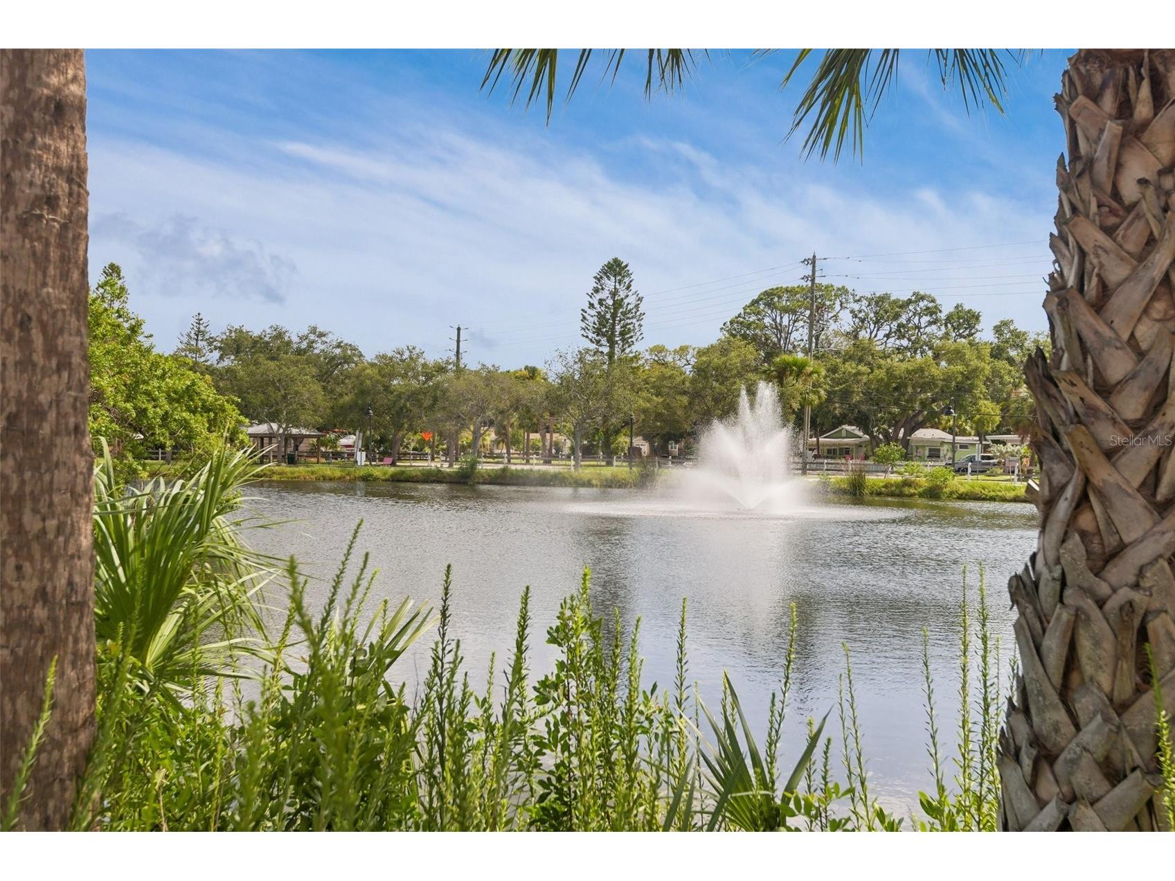 5731 28th Avenue S Gulfport FL 33707 - TED PHILLIPS IBIS WOOD PARK TB8531210 image31
