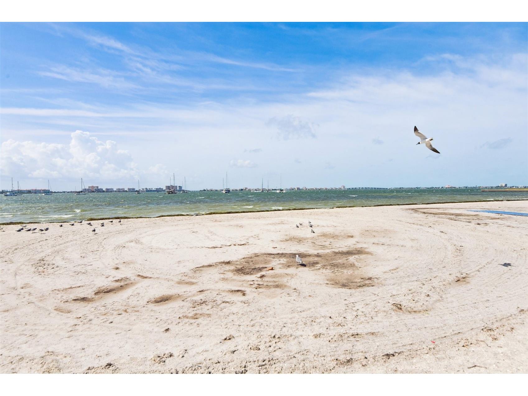 5731 28th Avenue S Gulfport FL 33707 - TED PHILLIPS IBIS WOOD PARK TB8531210 image35