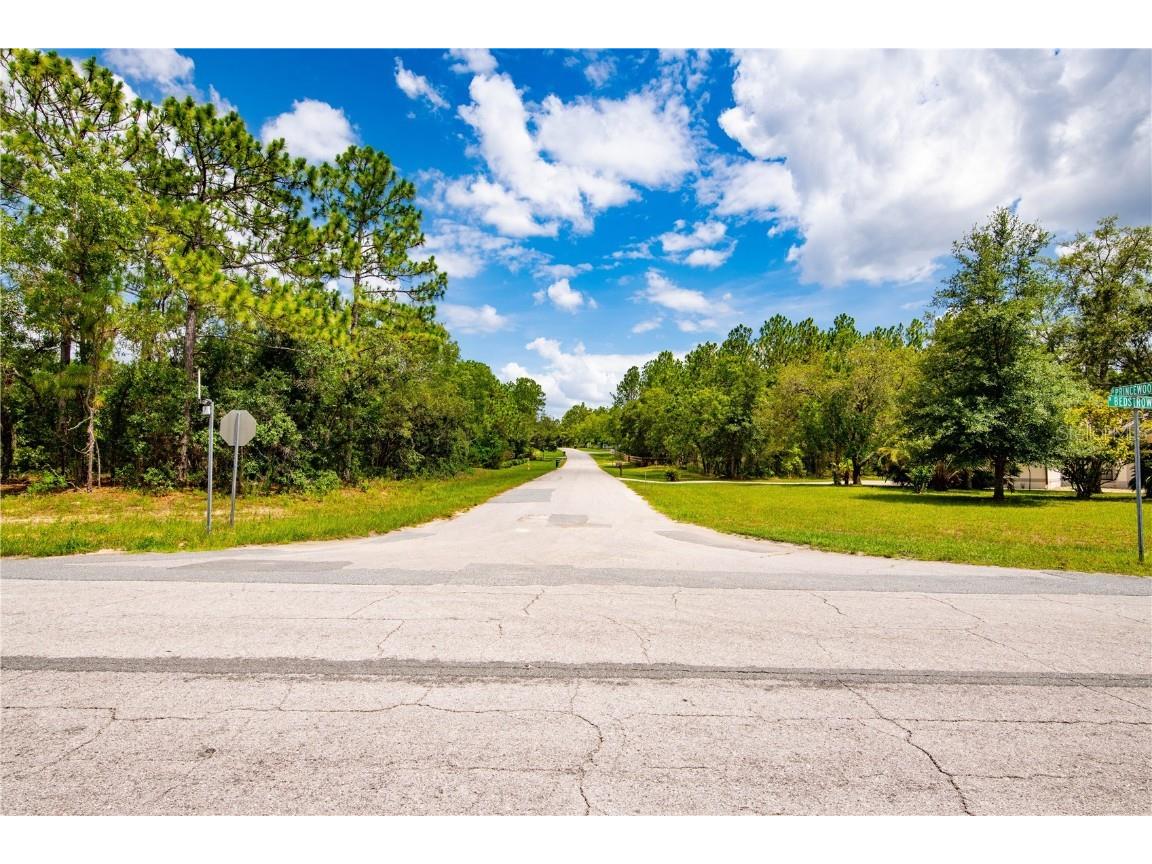 5731 N Princewood Drive Beverly Hills FL 34465 T3535338 image1