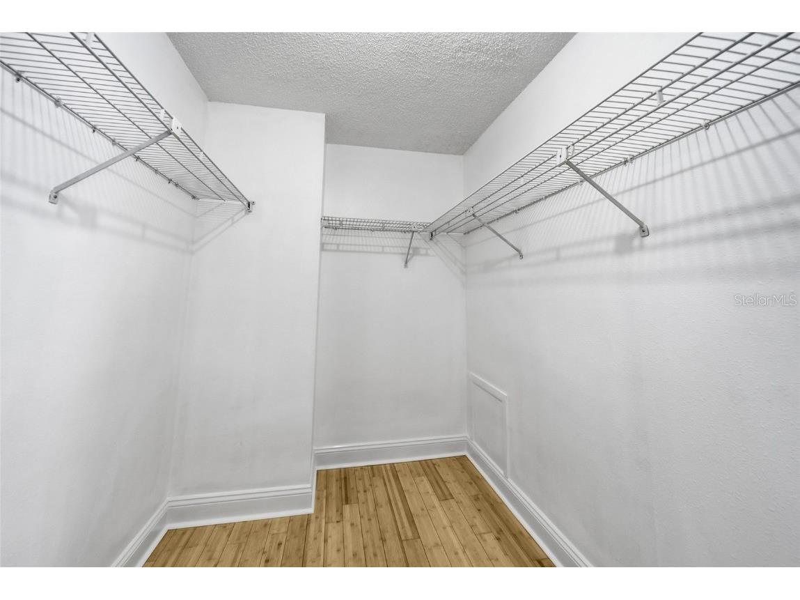 5731 Ridgestone Drive Tampa FL 33625 TB8444147 image28