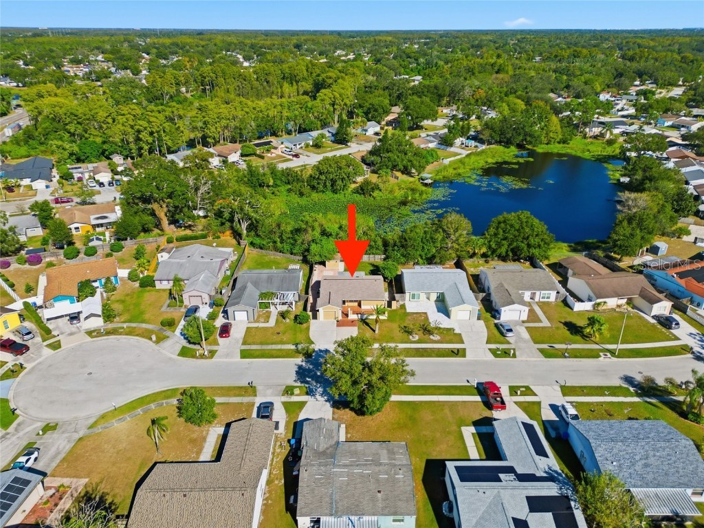 5731 Ridgestone Drive Tampa FL 33625 TB8444147 image38