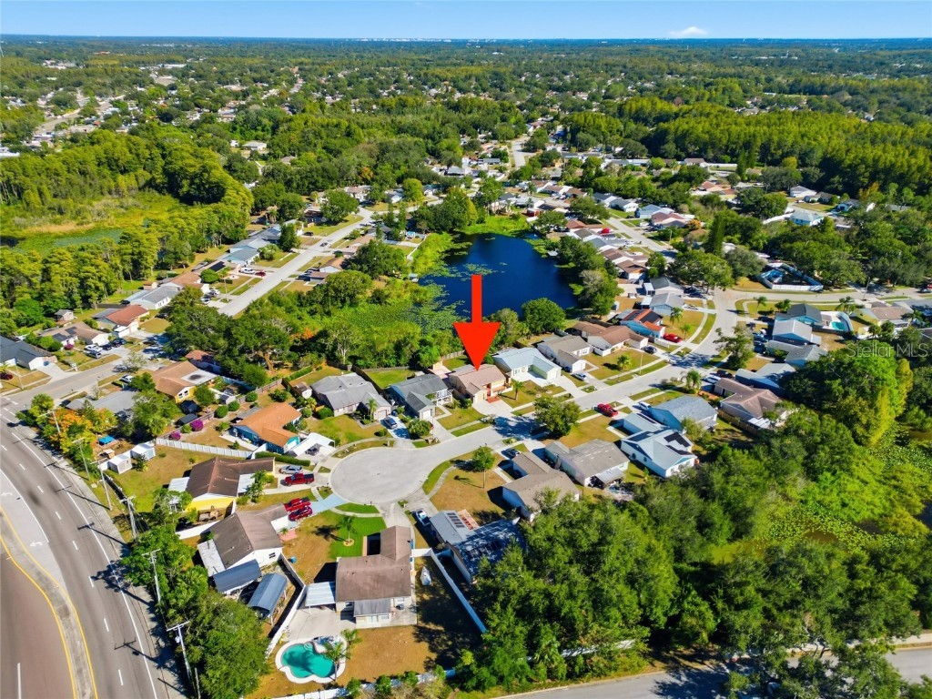 5731 Ridgestone Drive Tampa FL 33625 TB8444147 image39