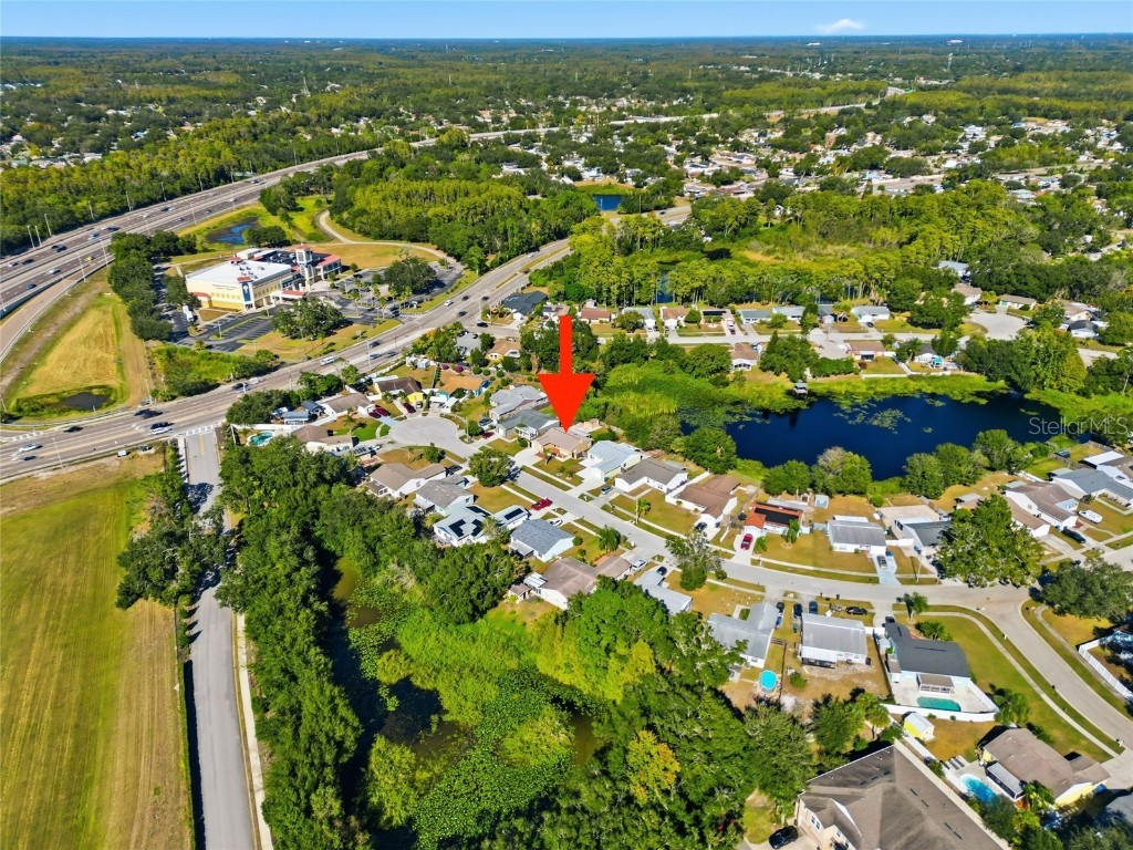 5731 Ridgestone Drive Tampa FL 33625 TB8444147 image40