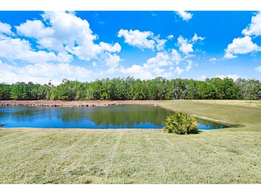 5731 Summit View Drive Brooksville FL 34601 - POND HOA TB8477739 image46