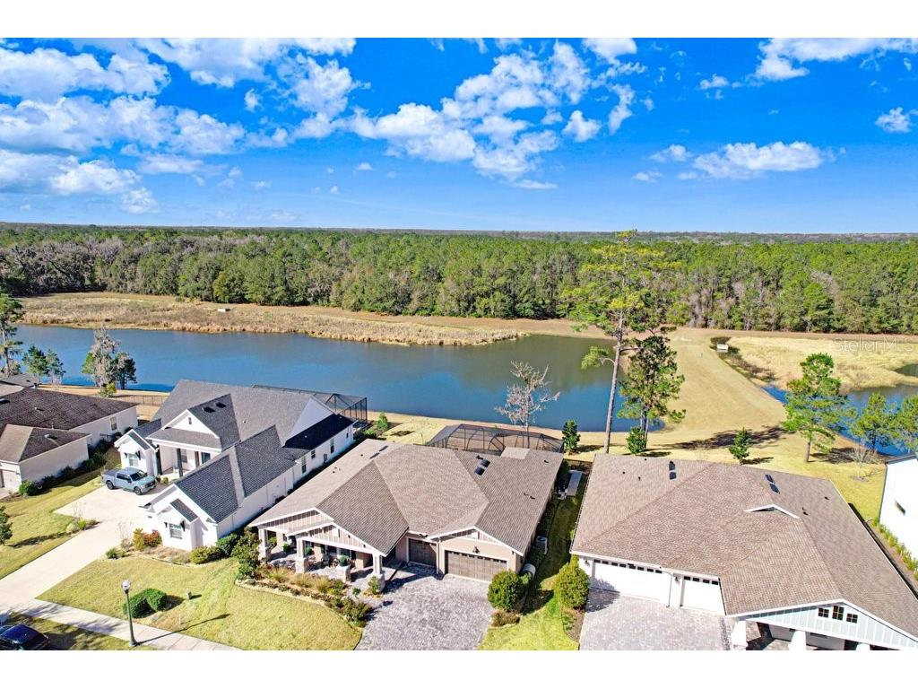 5731 Summit View Drive Brooksville FL 34601 - POND HOA TB8477739 image6