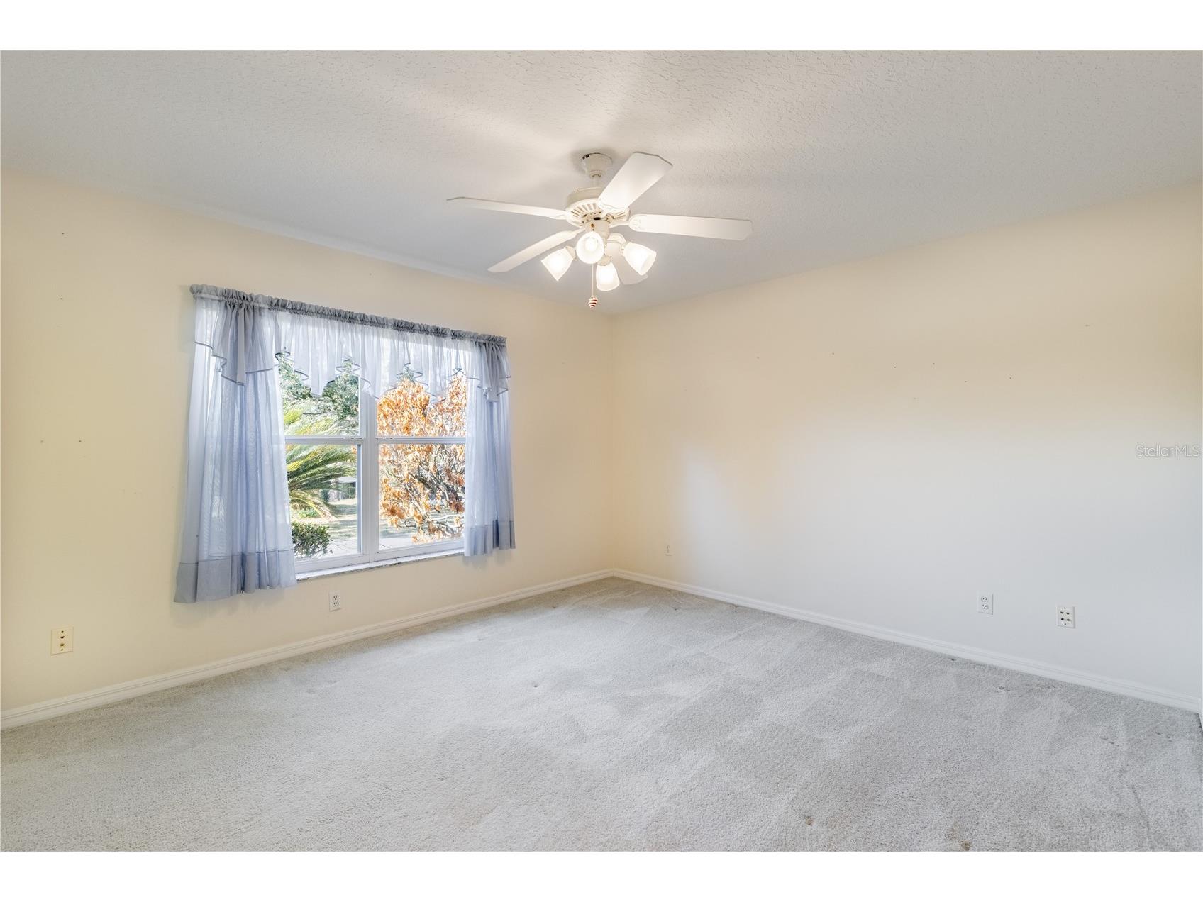 5732 Freeport Drive Tavares FL 32778 - LITTLE LAKE HARRIS G5108407 image21