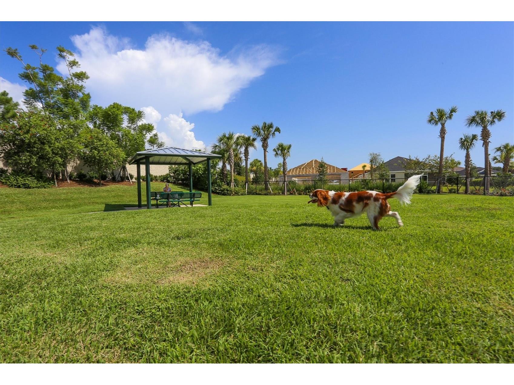 5732 Liatris Circle Sarasota FL 34238 A4687701 image83