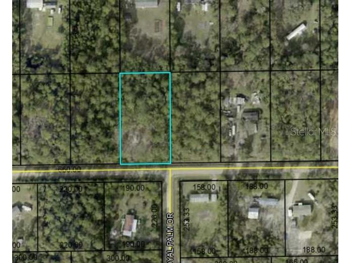 5732 Palm Avenue Bunnell FL 32110 FC292676 image1