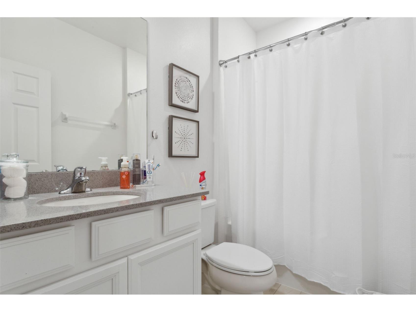 5732 Skytop Drive Lithia FL 33547 TB8506167 image17