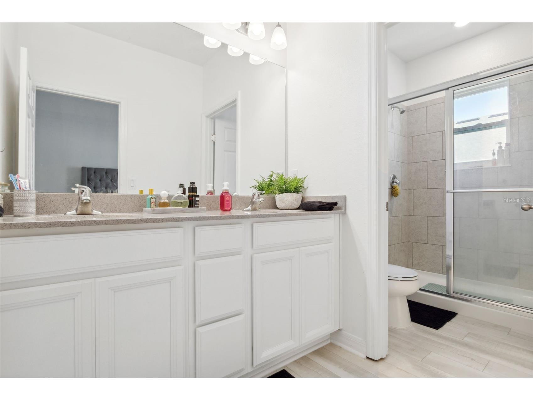 5732 Skytop Drive Lithia FL 33547 TB8506167 image20