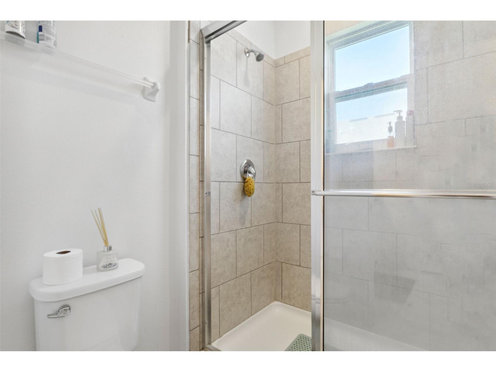 5732 Skytop Drive Lithia FL 33547 TB8506167 image21