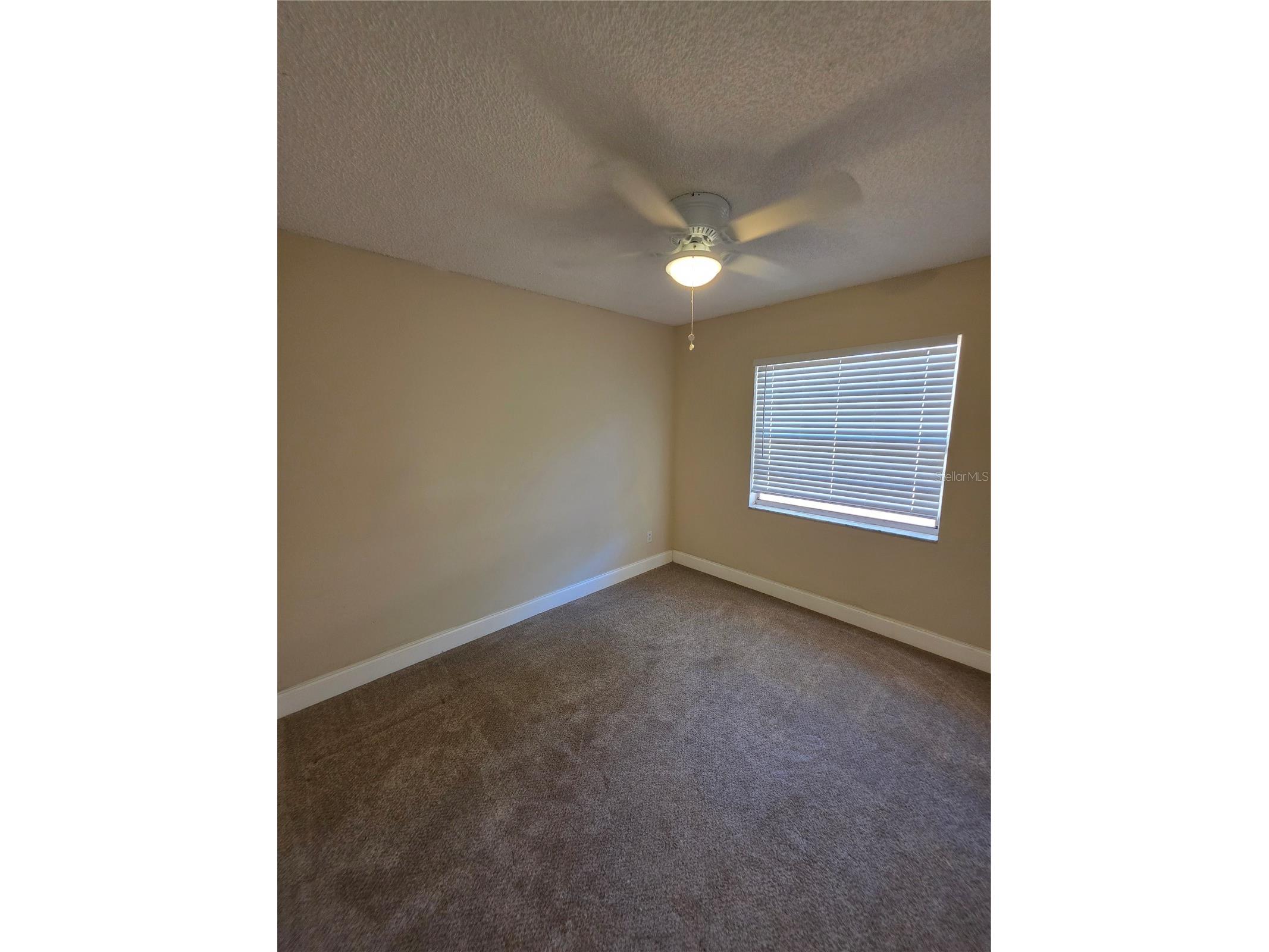 5733 66th Lane N Saint Petersburg FL 33709 TB8480048 image9