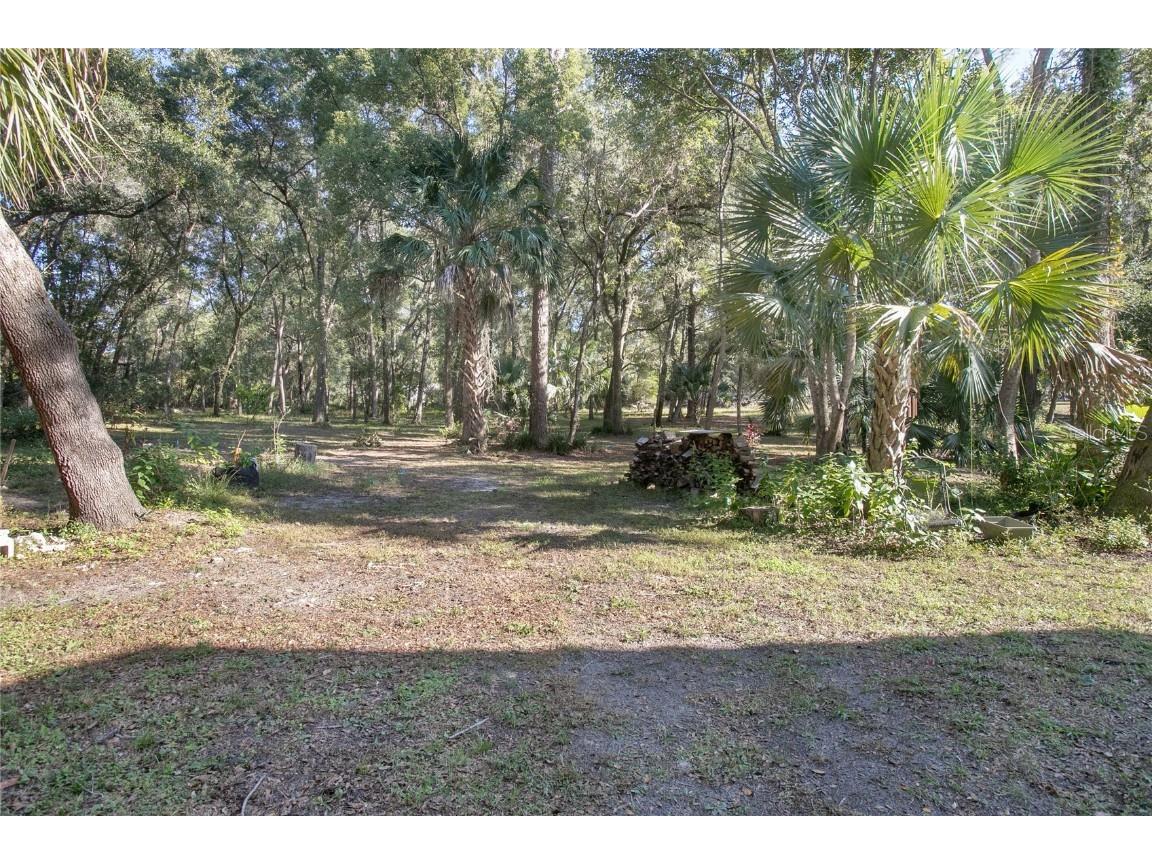5735 Fox Hollow Road De Leon Springs FL 32130 V4946019 image28