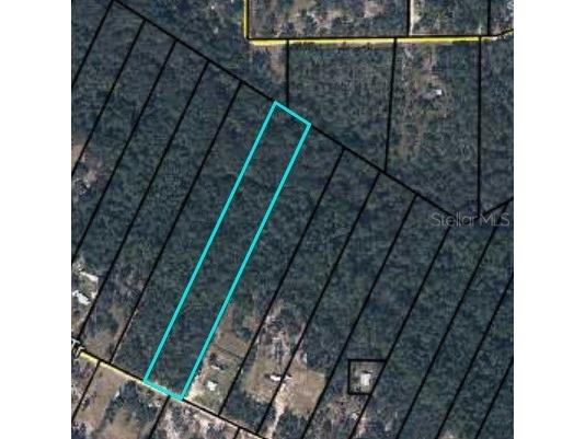 5735 Indian Trail Keystone Heights FL 32656 GC536600 image2
