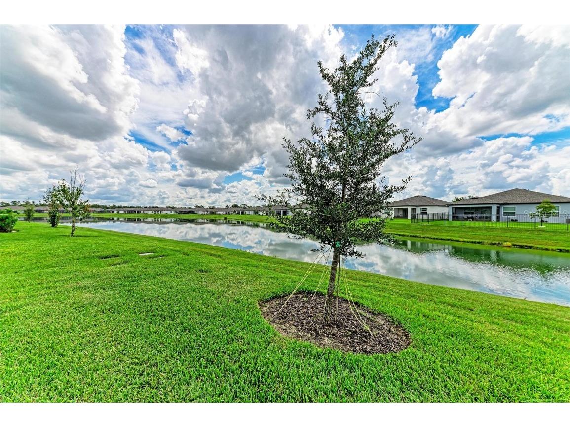 5735 Mezzana Run Palmetto FL 34221 A4659926 image35