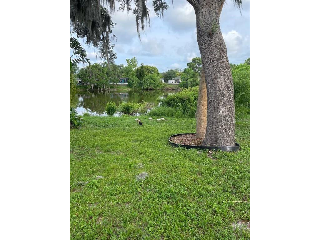 5736 Colonial Drive New Port Richey FL 34653 W7874655 image32