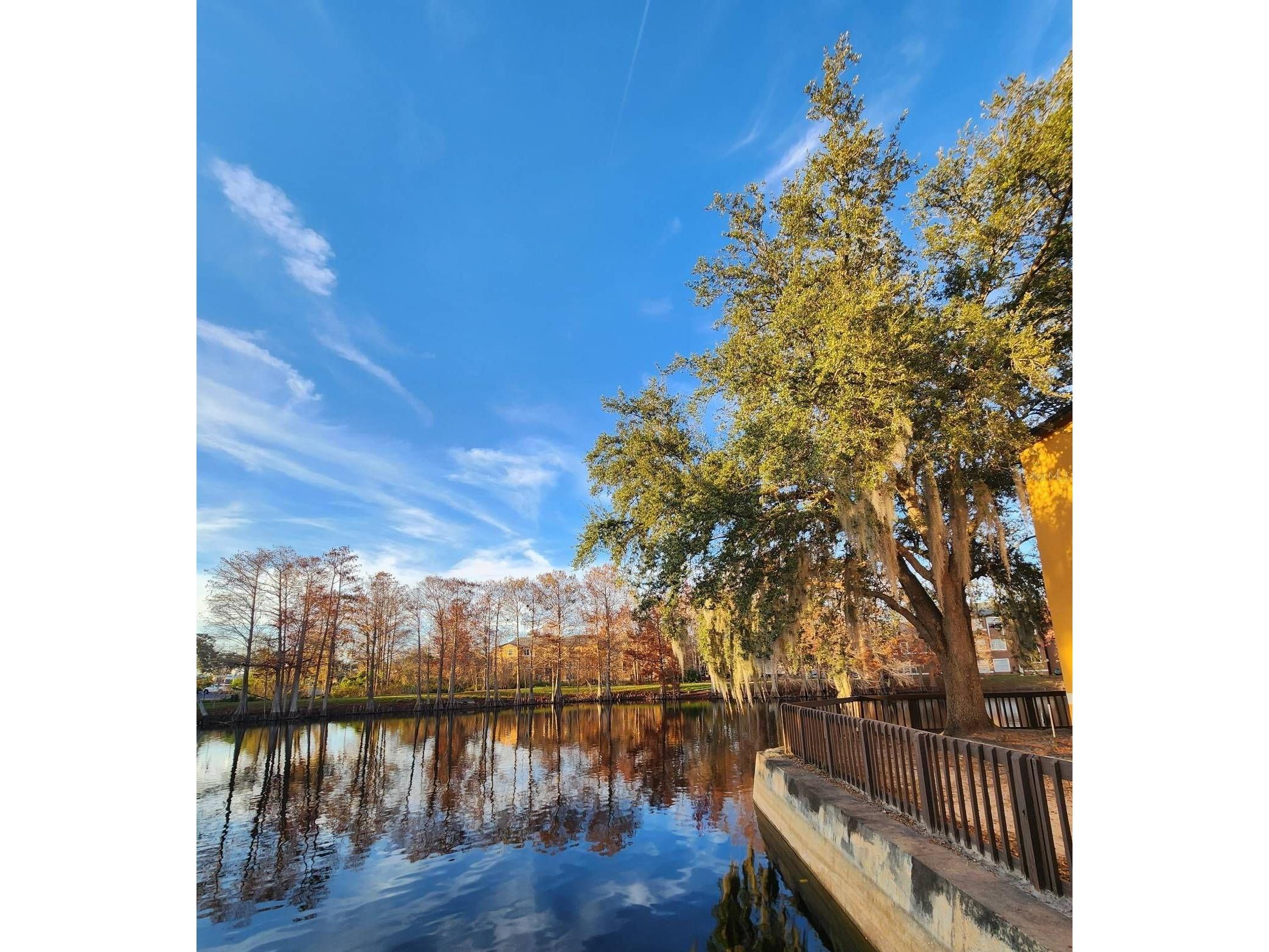 5737 Gatlin Avenue #423 Orlando FL 32822 S5145663 image25