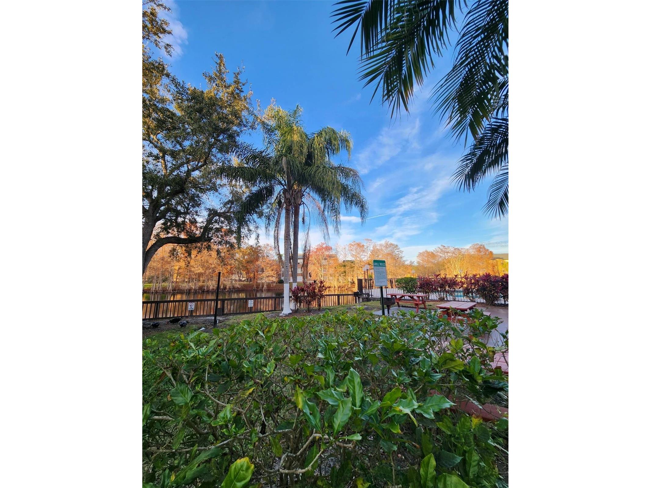 5737 Gatlin Avenue #423 Orlando FL 32822 S5145663 image26