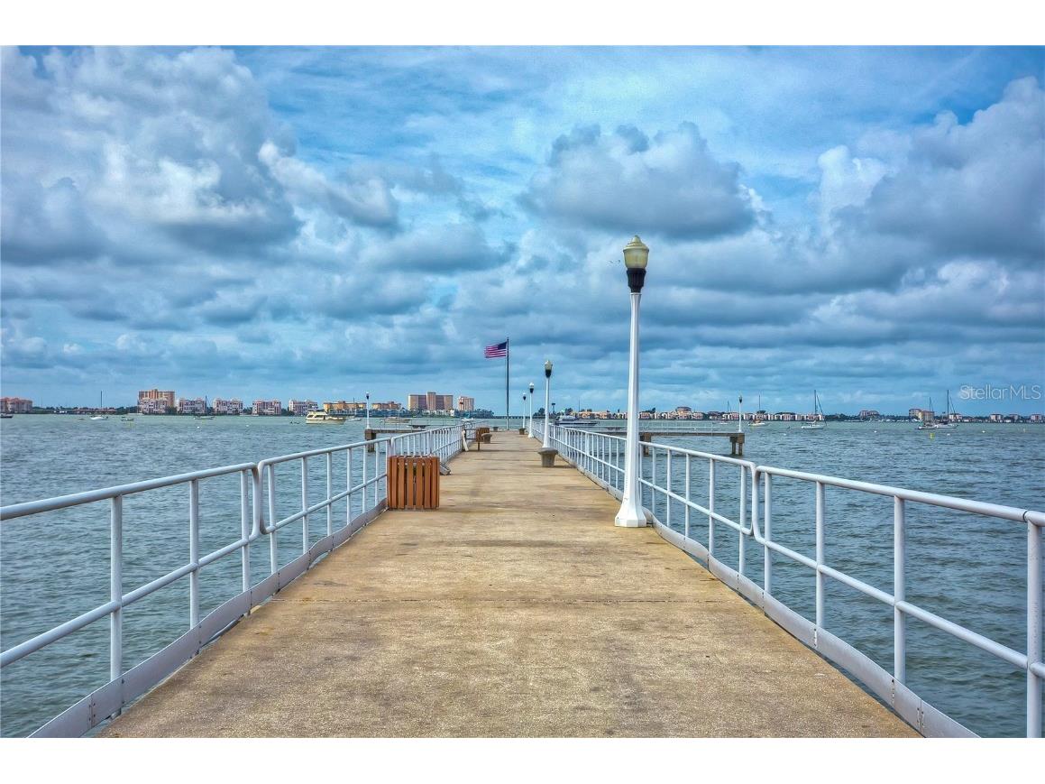 5737 Shore Boulevard S #1 Gulfport FL 33707 TB8457223 image38