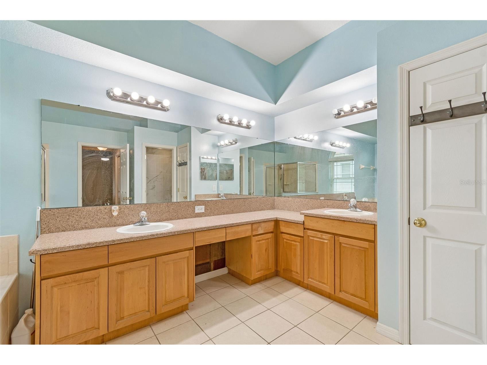 5737 Wynstone Lane Zephyrhills FL 33541 V4950092 image24
