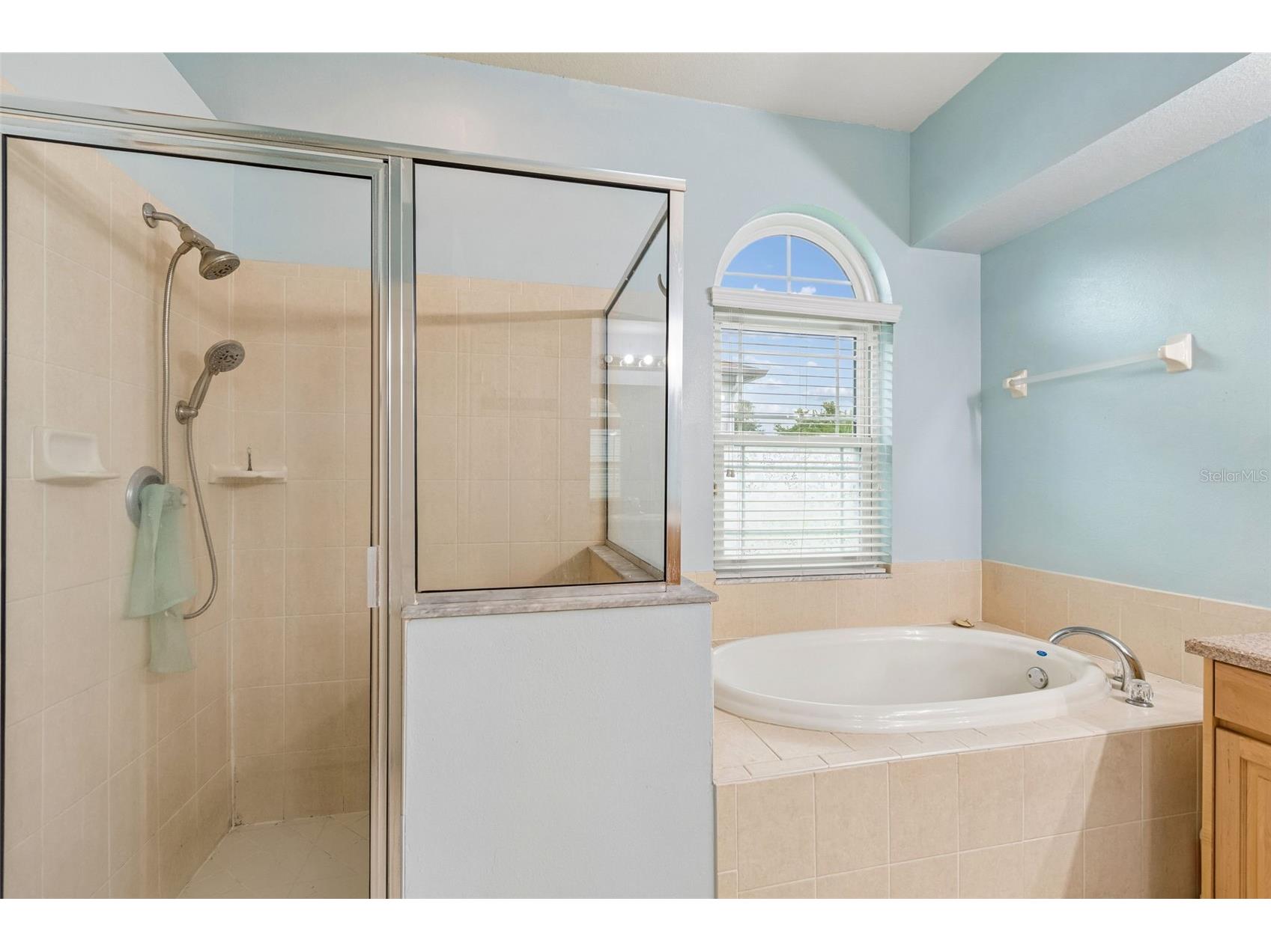 5737 Wynstone Lane Zephyrhills FL 33541 V4950092 image25