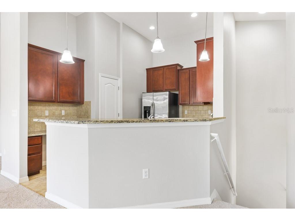 5738 Kingletsound Place Lithia FL 33547 TB8431411 image13