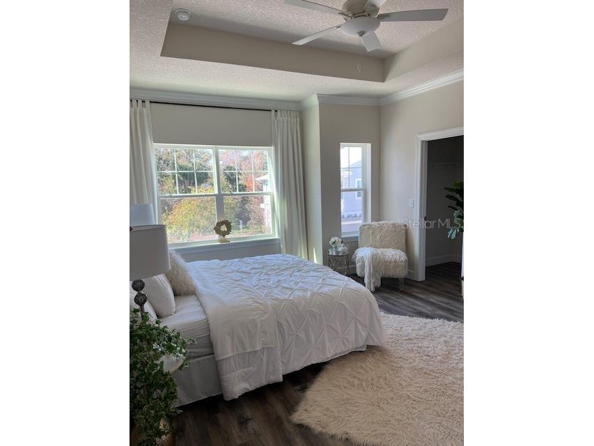 5739 Desert Rose Place Tampa FL 33615 TB8470883 image16